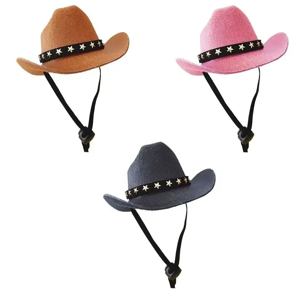 chapeau cowboy teckel 