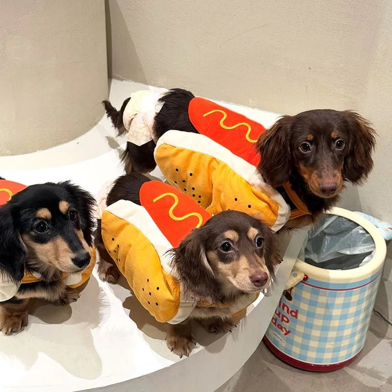 Costume hot dog teckel 
