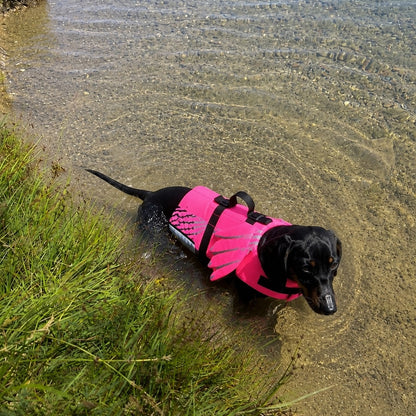 Gilet de sauvetage chien avec repose tête 