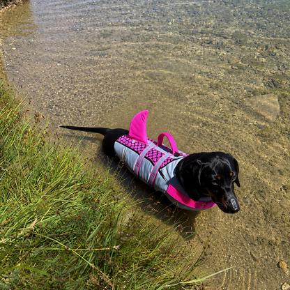 Gilet de sauvetage chien requin