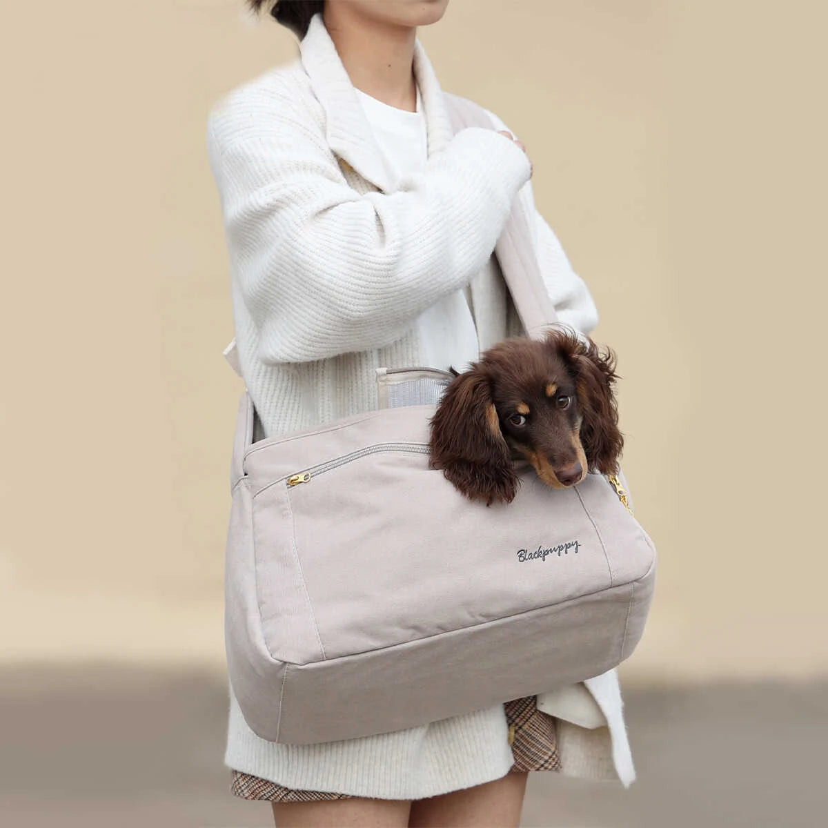 Sac transport teckel nain