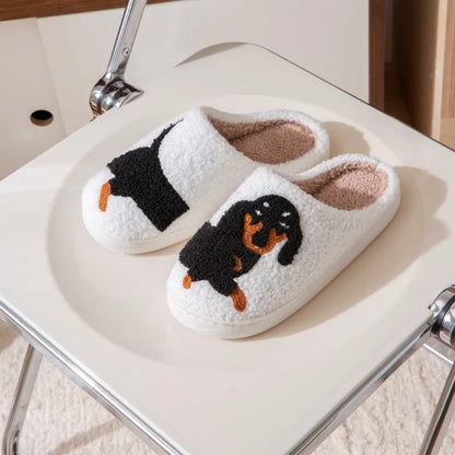 Chaussons teckel femme: Pantoufles Originales & Douillettes