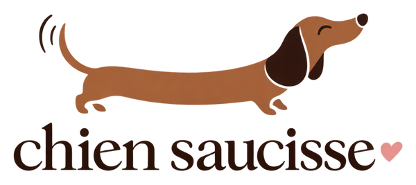 Chien Saucisse