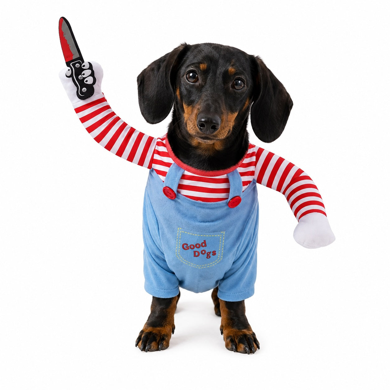 Costume Halloween teckel