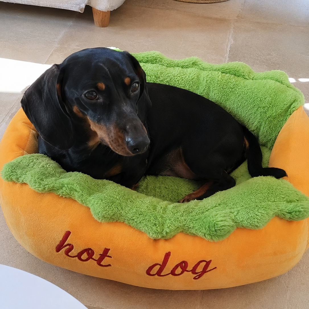 panier teckel hot-dog